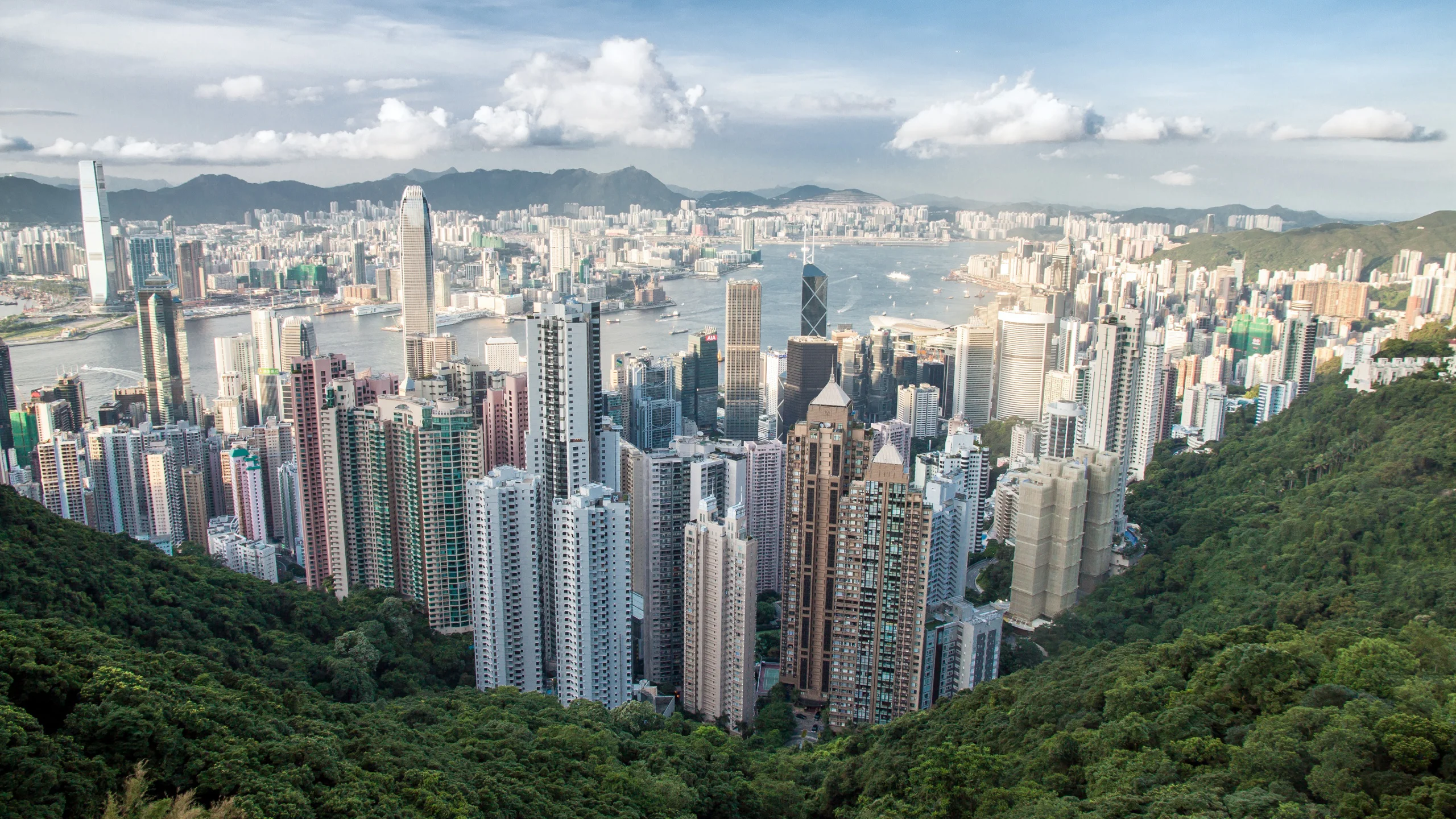 Hong Kong 100