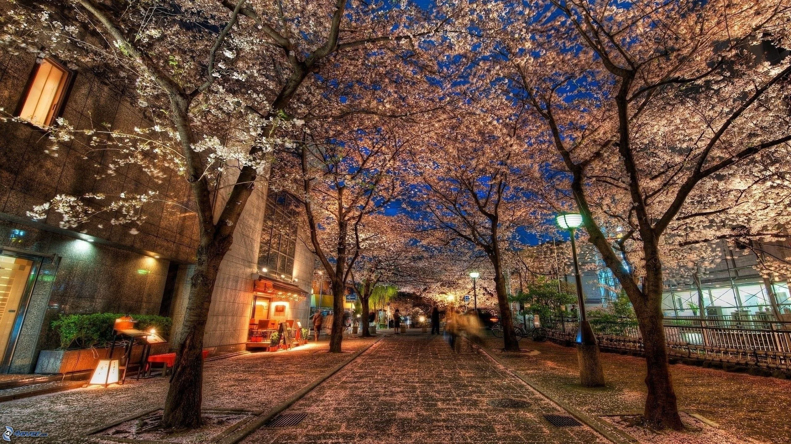 Kyoto Marathon