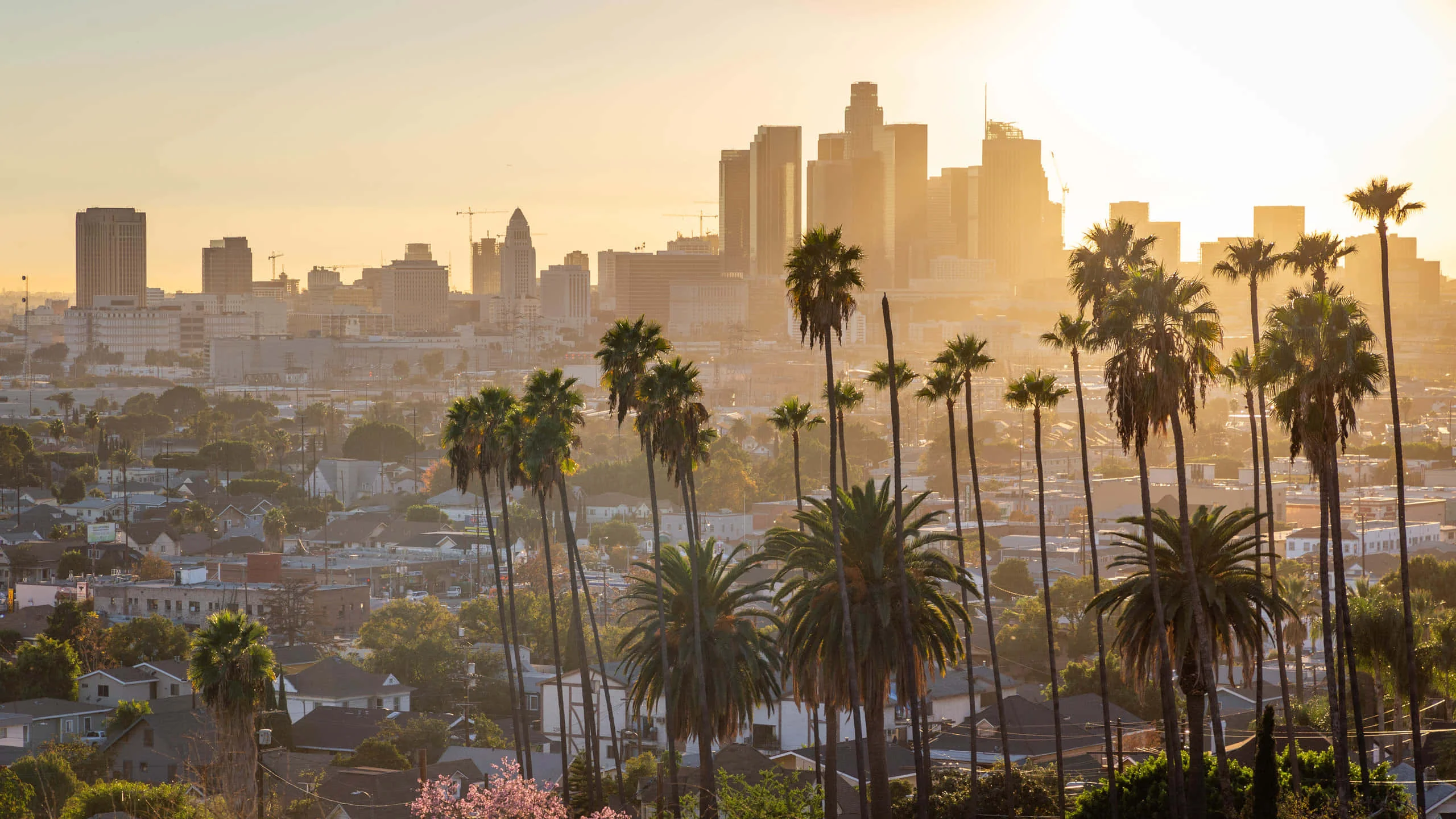 ASICS Los Angeles Marathon