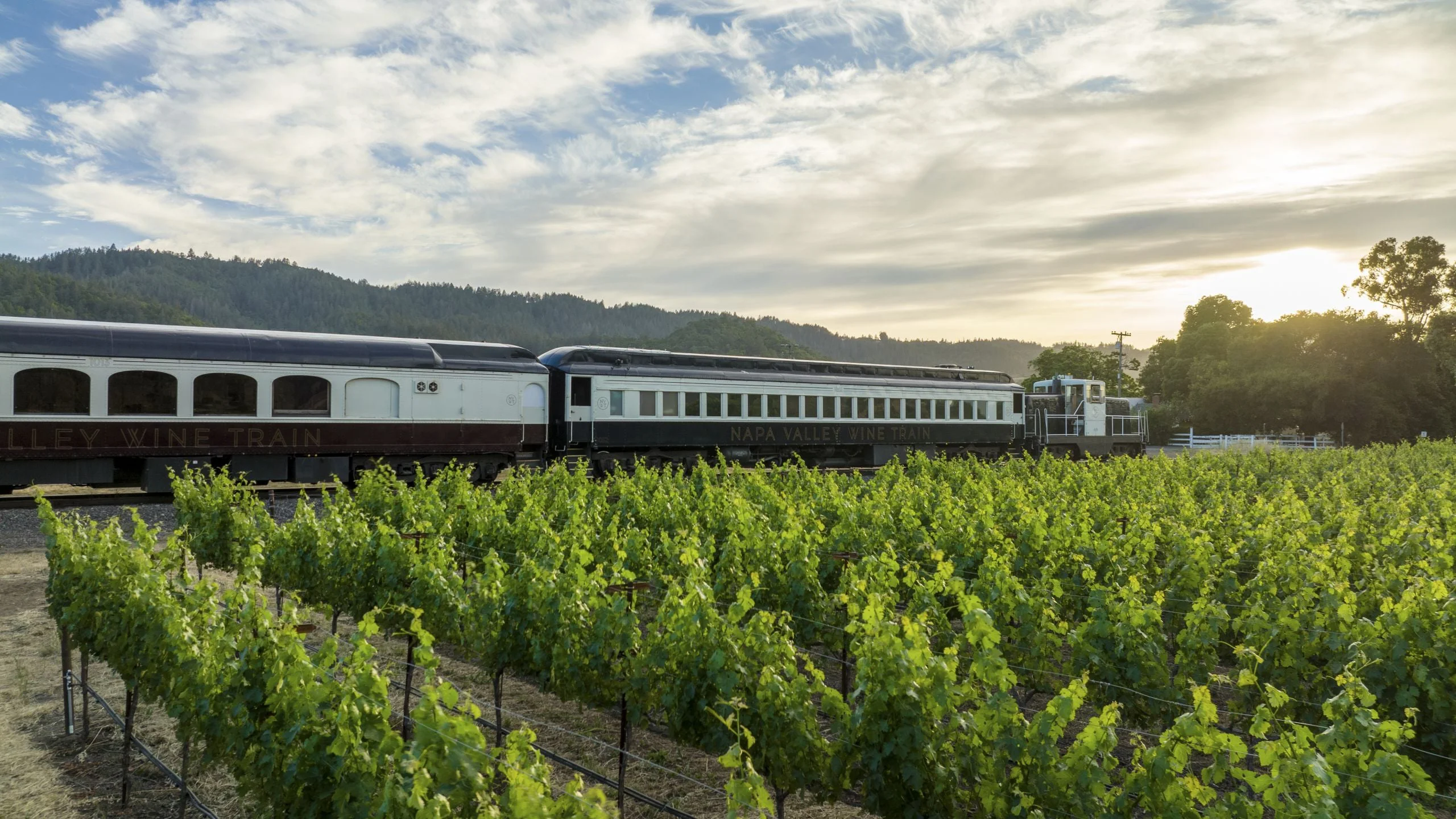 Napa Valley Marathon