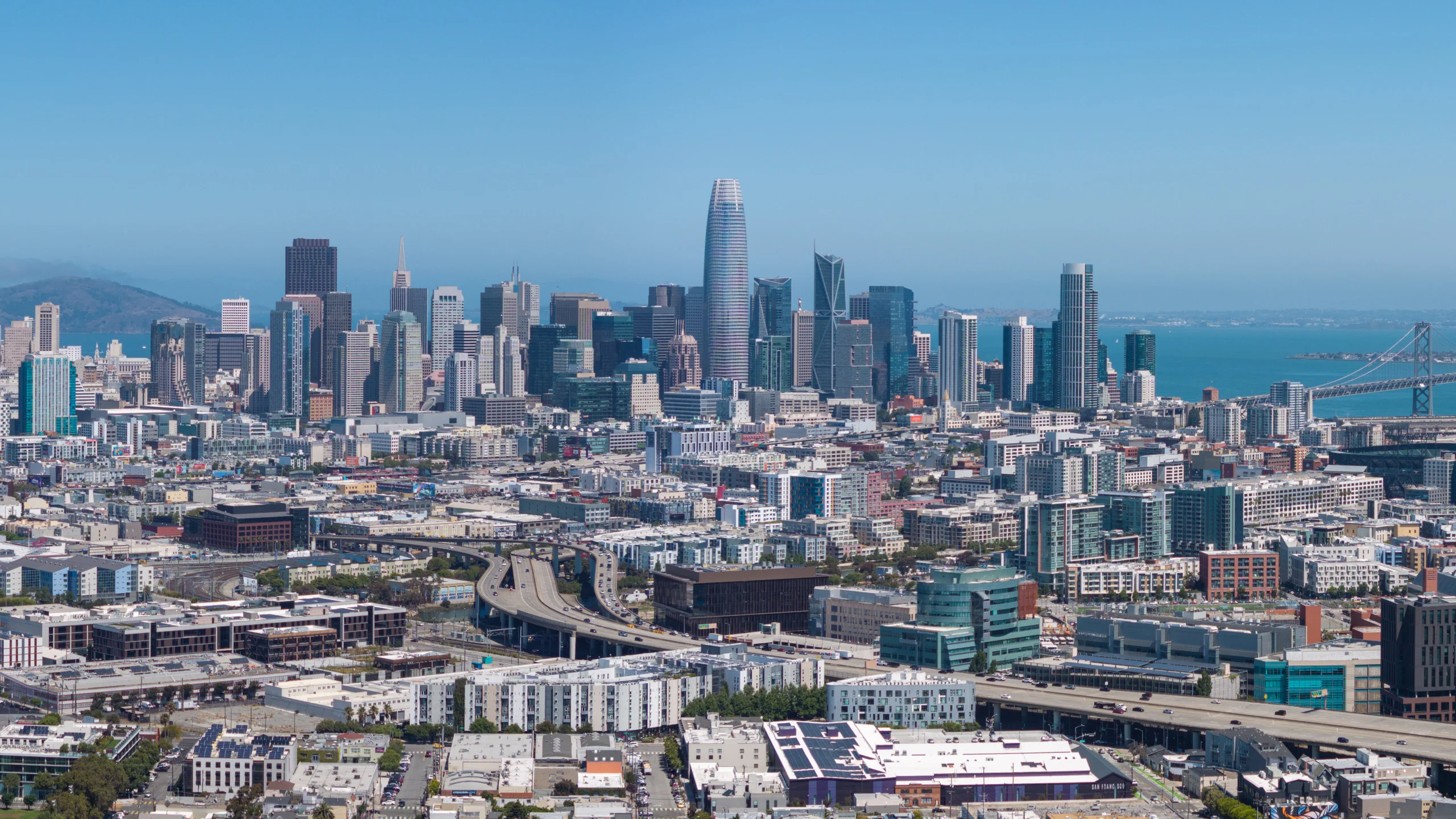 The San Francisco Marathon